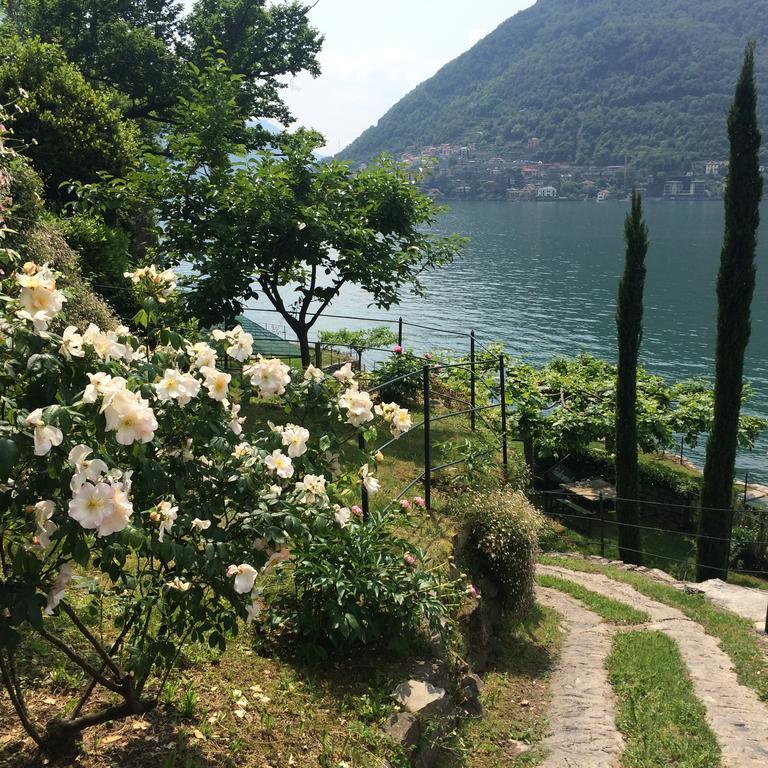 Casa Vacanza Castagna Nesso Pokój zdjęcie