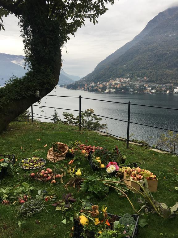 Casa Vacanza Castagna Nesso Zewnętrze zdjęcie