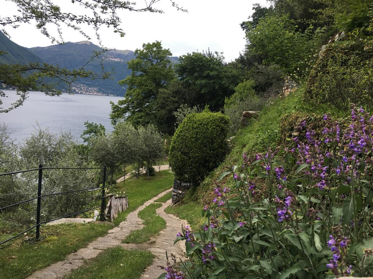 Casa Vacanza Castagna Nesso Zewnętrze zdjęcie